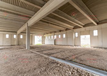 RIC07783-Modifica.jpg - Capannone Siracusa - foto 4