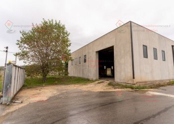 RIC07785.jpg - Capannone Siracusa - foto 6