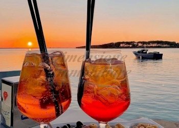 photo_2022-01-27_12-41-02.jpg - Bar Tavola Calda - Fredda Viale della Vittoria 16, Cecina - foto 1