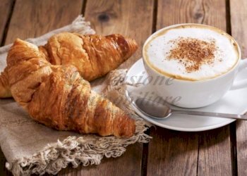 photo_2022-01-27_12-41-05.jpg - Bar Tavola Calda - Fredda Viale della Vittoria 16, Cecina - foto 2