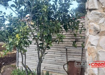 Agriturismo CONTRADA GORGO DEL PERO, Scicli - photo 7