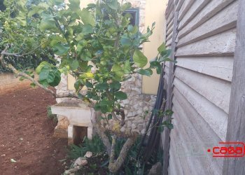 Agriturismo CONTRADA GORGO DEL PERO, Scicli - photo 8