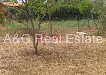 Villa Unifamiliare Grosseto - foto 26