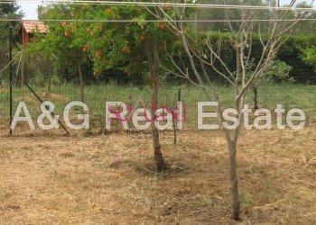 Villa Unifamiliare Grosseto - foto 27