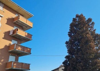 Trilocale Romano Canavese - foto 16