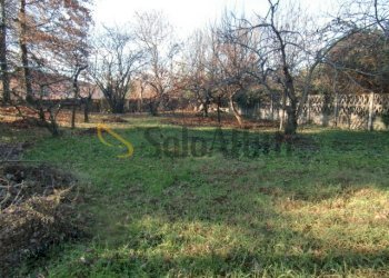 CIMG2308.JPG - Villa a Schiera Via Col di Tenda, Cesano Maderno - foto 24