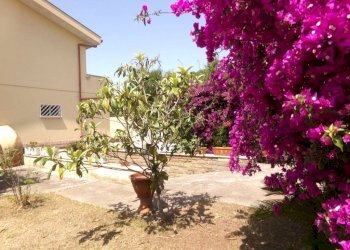 Giardino - Villa via dei Tigli, 6C, Anzio - foto 1