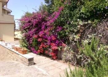 Giardino - Villa via dei Tigli, 6C, Anzio - photo 2