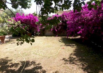 Giardino - Villa via dei Tigli, 6C, Anzio - foto 4