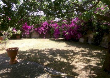 Giardino - Villa via dei Tigli, 6C, Anzio - foto 5