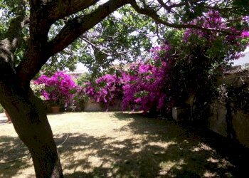 Giardino - Villa via dei Tigli, 6C, Anzio - foto 6