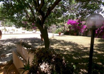 Giardino - Villa via dei Tigli, 6C, Anzio - foto 7