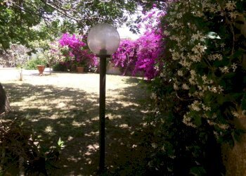 Giardino - Villa via dei Tigli, 6C, Anzio - foto 8