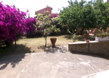 Giardino - Villa via dei Tigli, 6C, Anzio - foto 9