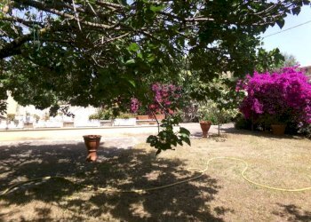 Giardino - Villa via dei Tigli, 6C, Anzio - foto 10