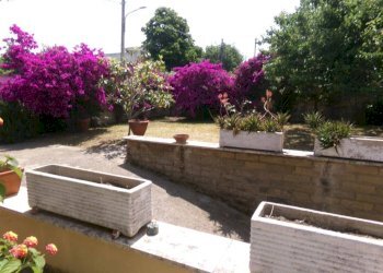 Giardino - Villa via dei Tigli, 6C, Anzio - foto 11