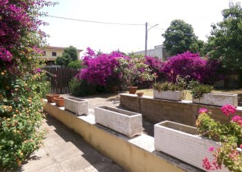 Giardino - Villa via dei Tigli, 6C, Anzio - foto 13