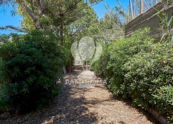 Villa contrada Forgia, Balestrate - foto 38