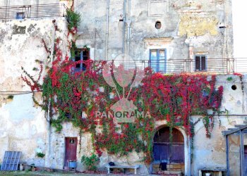 Casale Contrada Fico, Alcamo - foto 4