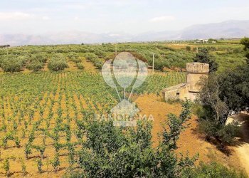 Casale Contrada Fico, Alcamo - foto 19