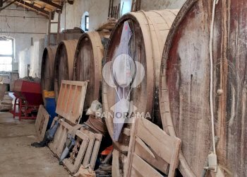 Casale Contrada Fico, Alcamo - foto 33