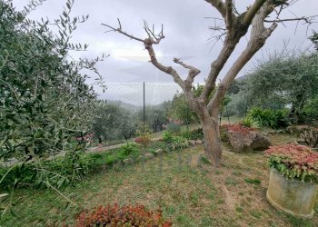 giardino - Independent house Via delle Otto Case 216, Ventimiglia - photo 6