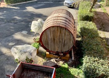 D55F1D8D-FF26-4F8B-ABEF-55670F7B2D8B.jpeg - Villa Stagno, Collesalvetti - foto 16