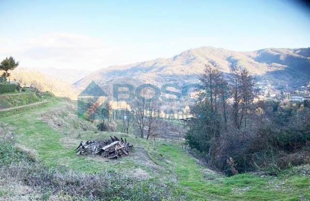 sd.jpg - Rustico Salita Castello, Beverino - foto 3