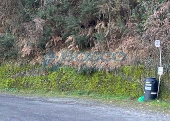 yh.jpg - Rustico Salita Castello, Beverino - foto 4