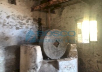 IMG_20150306_101003.jpg - Rustico Salita Castello, Beverino - foto 8