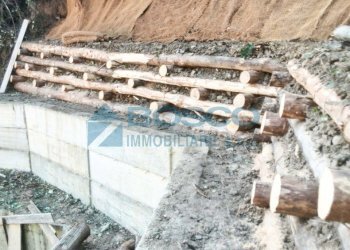 2118.jpg - Rustico Salita Castello, Beverino - foto 18