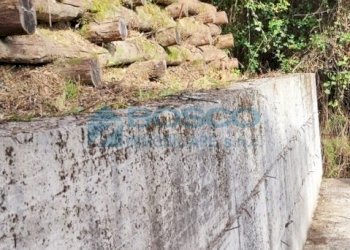 1.jpg - Rustico Salita Castello, Beverino - foto 22