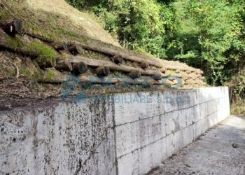 4.jpg - Rustico Salita Castello, Beverino - foto 25