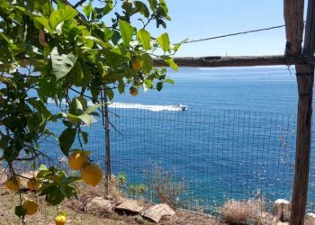 ac8483d3-79db-4c0c-9e90-aea904ab4552.jpg - Casa indipendente Cetara - foto 8