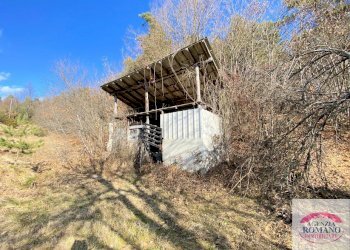 Rif 153(Copy24).jpg - Rustico Sassello - foto 12