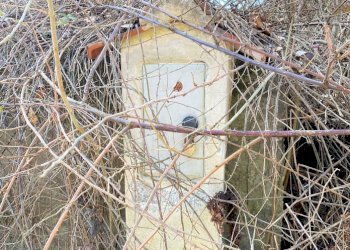 Rif 153(Copy23).jpg - Rustico Sassello - foto 23