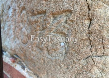 IMG_0629.jpg - Casale Porcari - foto 28