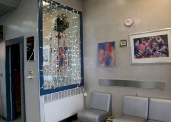 Negozio Bologna - foto 3