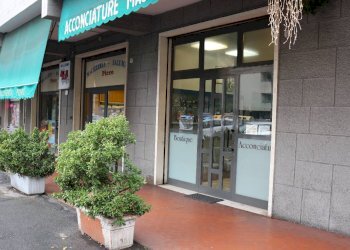Negozio Bologna - foto 10