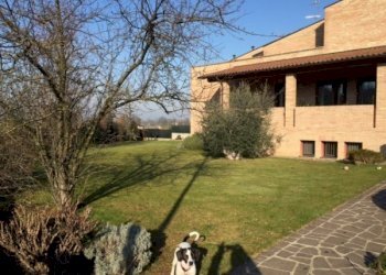 Single Family Villa Montechiarugolo - photo 15