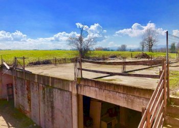 Independent house Montechiarugolo - photo 23