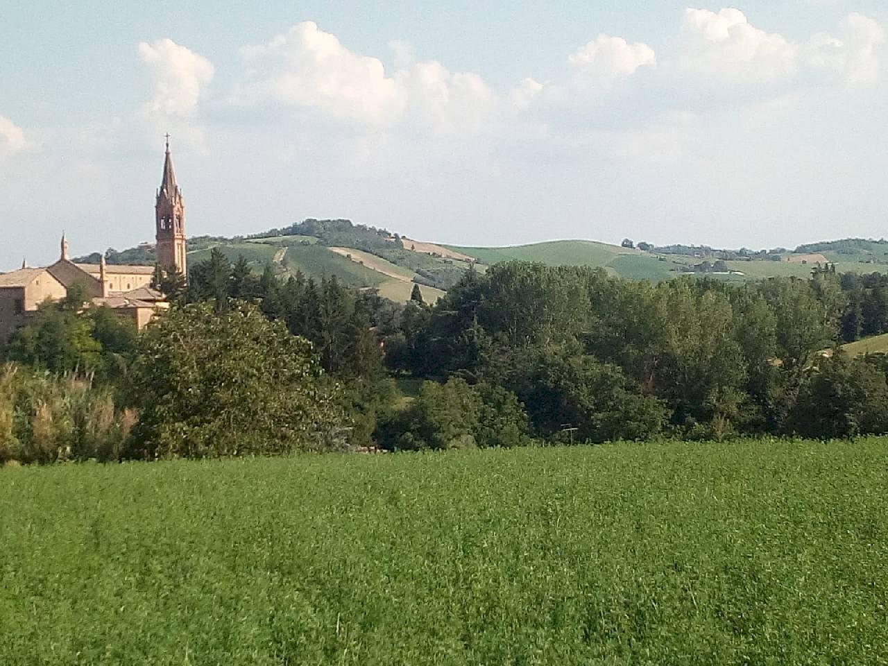 Building land Castelvetro di Modena - photo 2