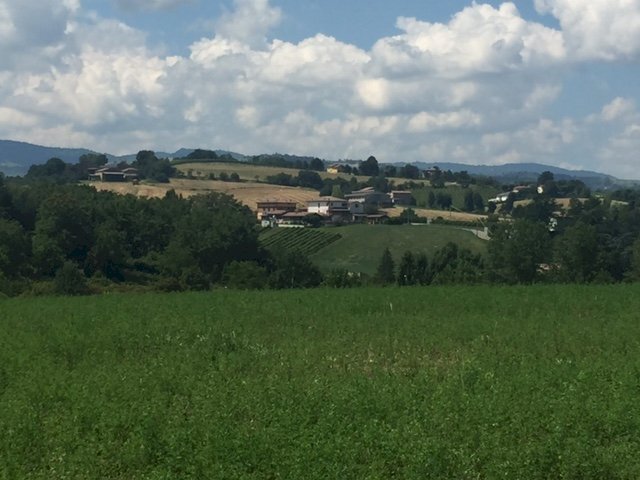 Building land Castelvetro di Modena - photo 3