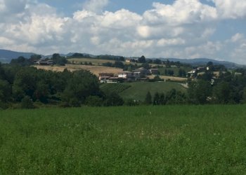 Building land Castelvetro di Modena - photo 3