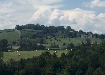 Building land Castelvetro di Modena - photo 4
