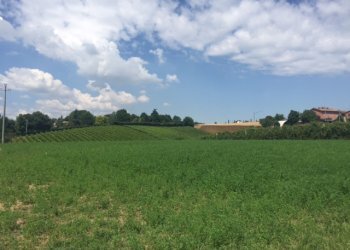 Building land Castelvetro di Modena - photo 5