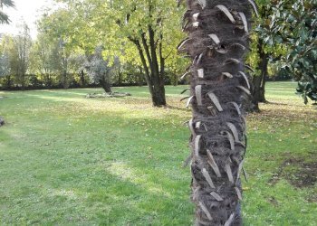 Casa indipendente Quattro Castella - foto 12