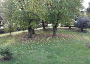 Casa indipendente Quattro Castella - foto 14