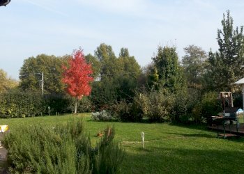 Single Family Villa Reggio nell'Emilia - photo 10