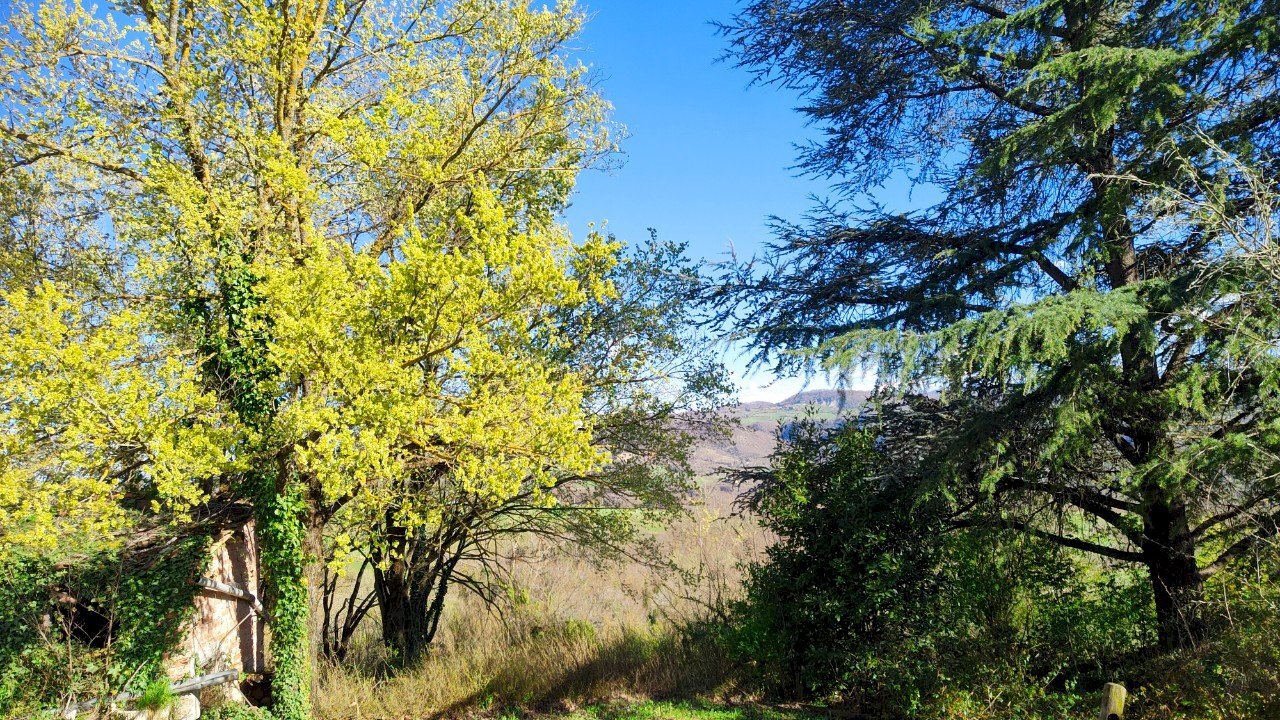 Independent house Canossa - photo 3